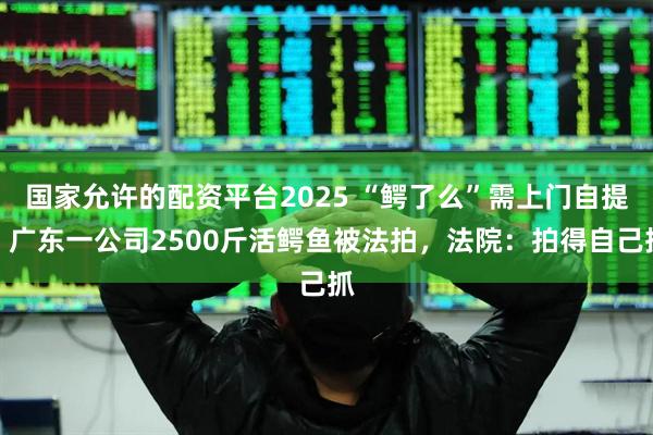 国家允许的配资平台2025 “鳄了么”需上门自提！广东一公司2500斤活鳄鱼被法拍，法院：拍得自己抓