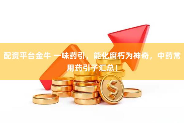 配资平台金牛 一味药引，能化腐朽为神奇，中药常用药引子汇总！